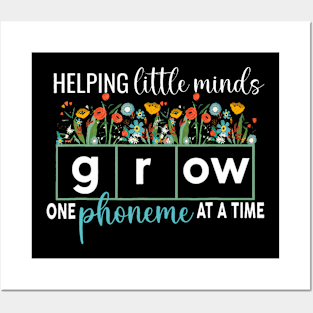 Science of Reading Helping A Little Minds Grow Phonics Posters and Art